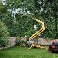 Best Storm Damage Tree Cleanup  in Wilson, NC